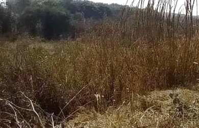 Imagem 4: Lote em Rua Caminho D, lote 21 - Jardim Primavera - São Pedro/SP