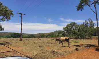 Imagem 3: Excelente Fazenda de 29 Hectares no Córrego do meio em Planaltina df