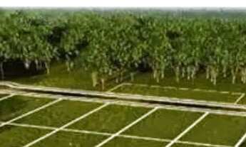 Imagem 2: Terreno à venda, 800 m² por R$ 400.000 - Condomínio Boulevard do Mirante Chapada dos Guima