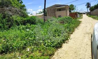 Imagem 7: Terreno Financiável em Área em Expansão Para Venda no Mosqueiro