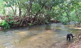 Imagem 4: Fazenda de 176 ha, ( 36 alqueires ), no Municipio de Guaraní de Goiás