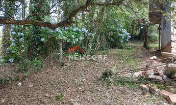 Imagem 6: Lote em Rua da Britadeira - Britadeira - São Francisco de Paula/RS