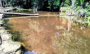 Imagem 2: IMPERDÍVEL, Sitio com Igarapé, com 10 hectares, - próximo cachoeira castanh