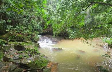 Imagem 2: TERRENO FORMATE ( VIANA ) 2800mt2