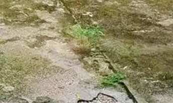 Imagem 7: EA Casa na Pratinha 2