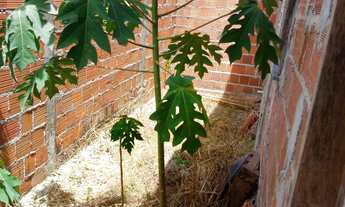 Imagem 6: CASA AMPLA 150²