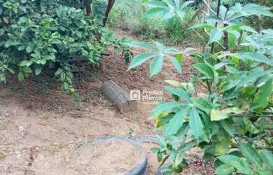 Imagem 6: Casa à venda, 200 m² por R$ 380.000,00 - São Geraldo - Nova Friburgo/RJ