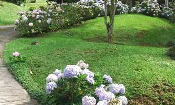 Imagem 5: Casa à venda na Fazenda Inglesa, 2 pavimentos , 3 quartos (2 suítes) e 2 suítes externas!