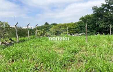 Imagem 5: Terreno à venda, 1.541 m² - Alto de Pinheiros - São Paulo/SP