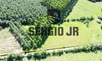 Imagem 5: Área de terra com 6.350m² em Triunfo