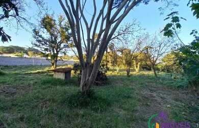 Imagem 3: TERRENO - ESTÂNCIA RECREATIVA SAN FERNANDO - SP
