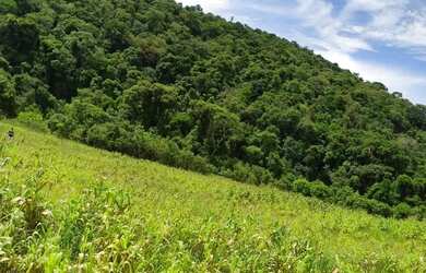 Imagem 2: Onde seus planos encontram espaço para crescer - SP