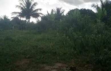 Imagem 6: Vende-se terreno 18x100