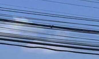 Imagem 2: Transferência de financiamento