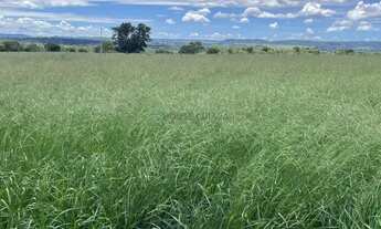 Imagem 7: Fazenda de 150 hectares toda escriturada e em dia, na beira do lago do manso