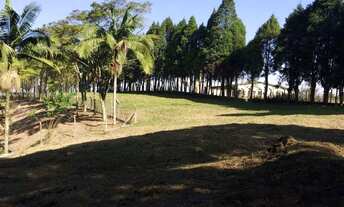 Imagem 6: Fazenda em Estrada Municipal da Cachoeira - Cachoeira - Cotia/SP