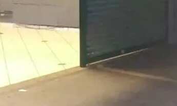 Imagem 4: Barracão, 853 m² - venda por RS 2.000.000,00 ou aluguel por RS 12.310,88-mês - Centro - Pi