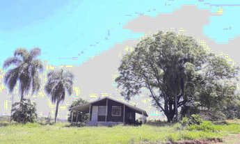 Imagem: Fazenda em ipiranga