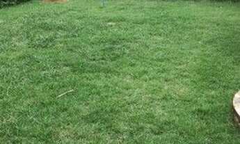 Imagem 5: Vendo casa em vila velha