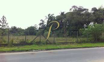 Imagem 4: JOINVILLE - Terreno Padrão - Pirabeiraba