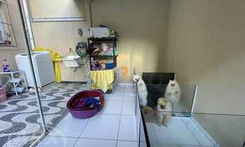 Imagem 5: CANOAS - Casa Padrão - Igara