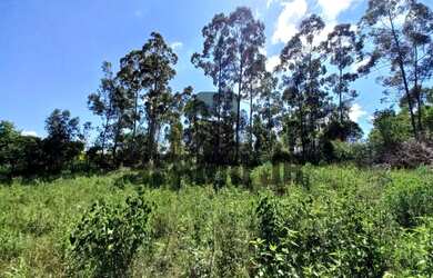 Imagem 3: Área de terra com 3.600m² em Eldorado do Sul - Aceito parcelamento
