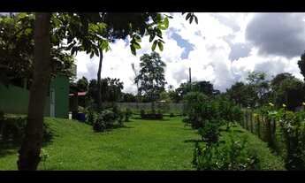 Imagem 4: Chácara mais linda da regiao