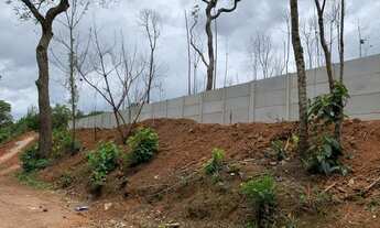 Imagem 7: Terreno cercado com alambrado