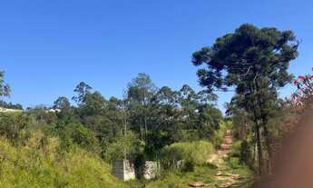 Imagem 3: Lote/Terreno para venda tem 6000 metros quadrados em Ivoturucaia área URBANA - Jundiaí - S