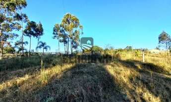 Imagem 7: Área de terra com 5.991m² e açude em Triunfo - Aceito veículo