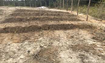 Imagem 2: Lote/Terreno 3000 m2 - LINHA VERDE