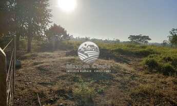 Imagem 2: Machadinho D'Oeste - Sítio - 30 alqueires