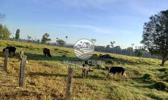 Imagem 5: Machadinho D'Oeste - Sítio - 30 alqueires