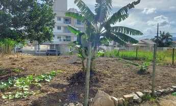 Imagem 2: Belíssimo Lote/terreno á venda plano liga uma rua a outra com 375m2 no Aririú - Palhoça