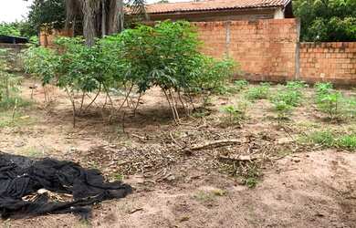 Imagem 3: Fazenda/Sítio/Chácara para venda tem 531 m2, 3 casas e churrasqueira, 5000 m2 toda murada