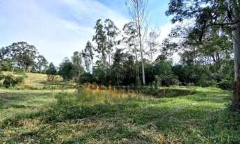 Imagem 3: Área de terra com 1,3h em Triunfo