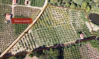 Imagem 3: área - Reforma Agrária - Valinhos