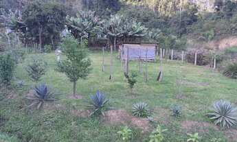 Imagem 4: Chácara linda oportunidade única