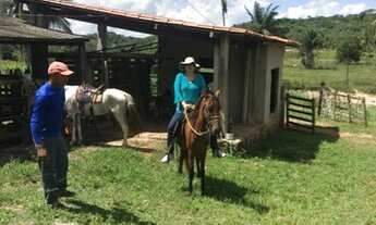 Imagem 5: Fazenda a 15 km de Entre Rios Na BA 093 , São 270 tarefas georreferenciadas GPS