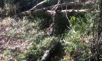 Imagem 3: Vendo Chacara em itaberai