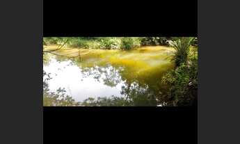 Imagem 7: Terreno no Rio do Meio - Itajaí