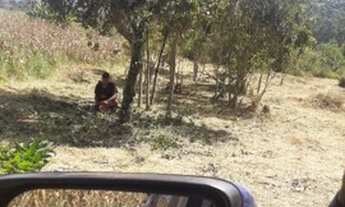 Imagem 2: 2 alqueires- São João da Mata