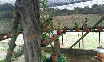 Imagem 5: área - Guedes - Jaguariúna