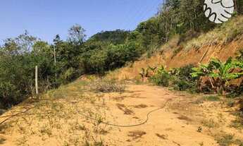 Imagem: Terreno à venda, 10000 m² por R$ 450.000,00