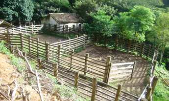 Imagem 7: Terreno de 270 ha para pecuária - ImaruíSC