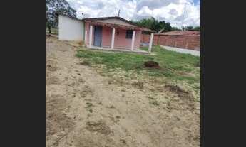 Imagem: Granja em São Paulo do Potengi