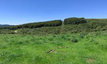 Imagem 4: Fazenda 120 Hectares Cachoeira do Sul - RS