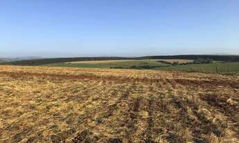 Imagem 4: Lavoura de soja Fazenda / sítio com venda por R$12.900.000