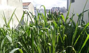 Imagem 5: Terreno - Jardim Paraíso - Campinas