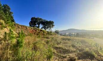 Imagem 2: Lote/Terreno COMERCIAL 1.023m², em Itacorubi - Florianópolis - SC